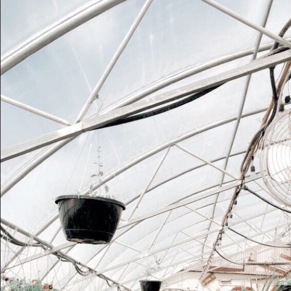 Meet your Posher, Haven - Picture 1 of 1